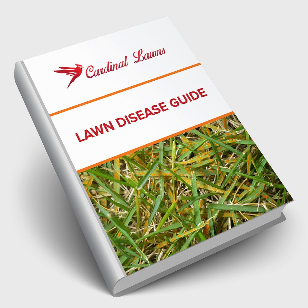 Lawn Disease Guide Cardinal Lawns