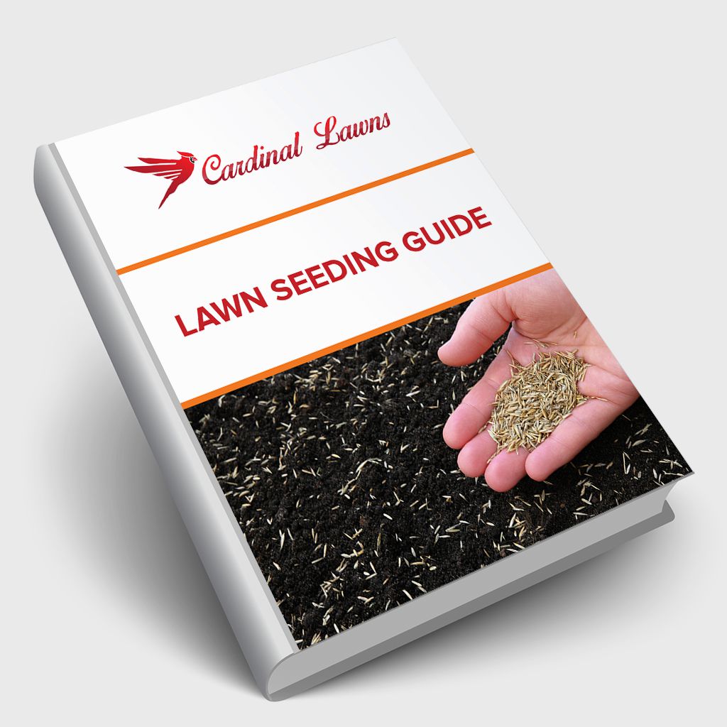 Lawn Seeding Guide - Cardinal Lawns