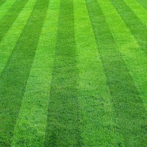 Best Lawn Mowing Patterns | Cardinal Lawns