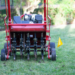 Aerating Your Lawn in the Winter | Cardinal Lawns