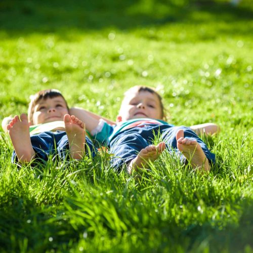 Free Quote for Perimeter Pest Control